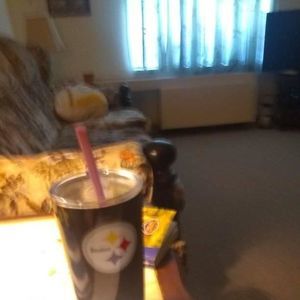 Meet your Posher, Donna